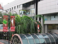 Far East Plaza