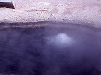Fearless Geyser Fearless Geyser