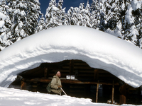 Fern Lake Patrol Cabin