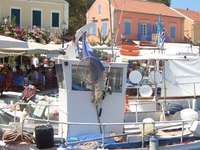 Fiskardo