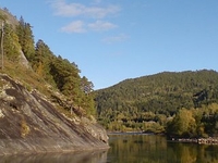 Flå