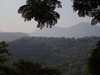 Tijuca Forest Tijuca Forest