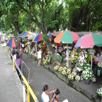 Flower Market In Bacolod Public Plaza Flower Market In Bacolod Public Plaza