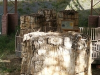 Florissant Fossil Beds National Monument