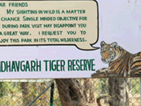 Fossil - Parks Near Dindori