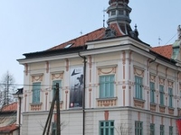 Domzale