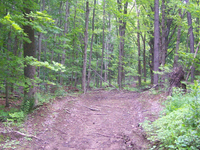 Frog Tanks Trail 112 Frog Tanks Trail 112