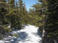 Flattop Mountain Trail