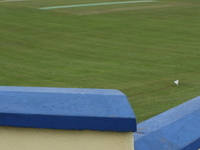 Fox Lodge Cricket Club Ground