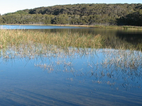 Eurobodalla National Park Eurobodalla National Park