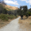 Galilee Rosh Pina
