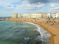 Gallipoli Gallipoli