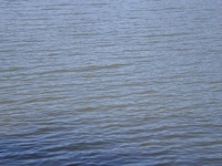 Oldman Lake