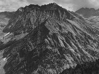 Almost-a-Dog Mountain