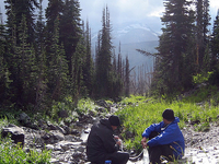 Cosley Lake CutOff Trail Cosley Lake CutOff Trail