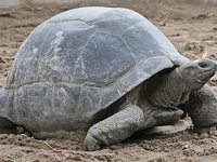 Amazing Galapagos 5 Days
