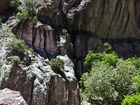 Glenwood