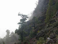 GR 131: El Baston