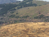 Great Balsam Mountains