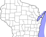 Green County Green County