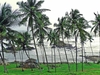 Best 4 Days Goan Fantasy Budget Deal Best 4 Days Goan Fantasy Budget Deal
