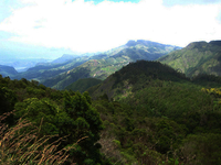 Green Valley Green Valley