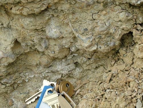 red gulch dinosaur tracksite