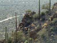 Gates Pass Gates Pass