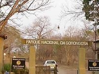 Gorongosa National Park Gorongosa National Park