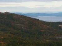 Gråkallen
