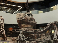 Kunming Natural History Museum of Zoology Kunming Natural History Museum of Zoology