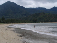 Hanalei Hanalei