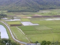 Hanalei River