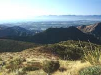 Hawkes Lookout