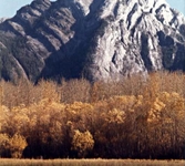 Heart Mountain