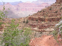 Hermit Trail Hermit Trail