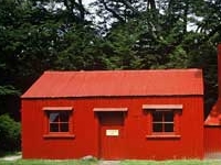 Historic Waihohonu Hut Track