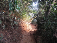 Honeymoon Point Trail - Matheran - Maharashtra - India Honeymoon Point Trail - Matheran - Maharashtra - India