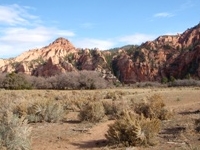 Hop Valley Trailhead - Open Expanse