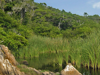 Huatulco National Park