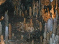 Harrison's Cave Harrison's Cave