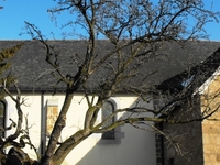 Saint-Mars-Sur-La-Futaie