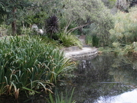 Hedgeley Dene Gardens Hedgeley Dene Gardens