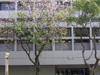 Chinese University Art Museum Chinese University Art Museum