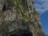Piercy Island