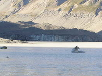 Hooker Glacier