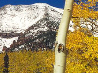 Kachina Peaks Wilderness