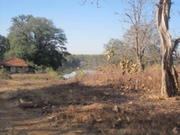 Hut At Tadoba Lake Shoreline