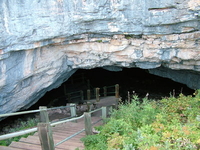 Ice Cave Custard NF Ice Cave Custard NF