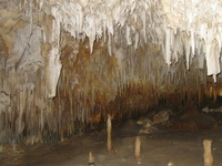 Kelly Hill Conservation Park